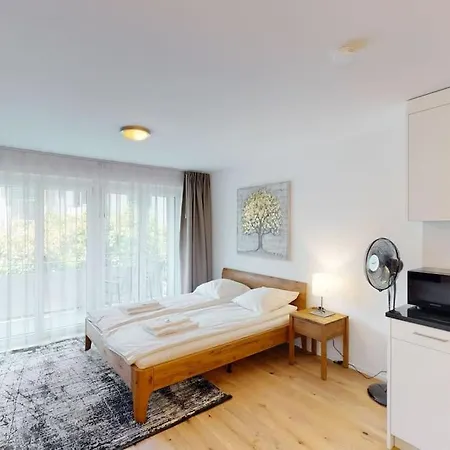 Modern - Sun 5 公寓 苏黎世